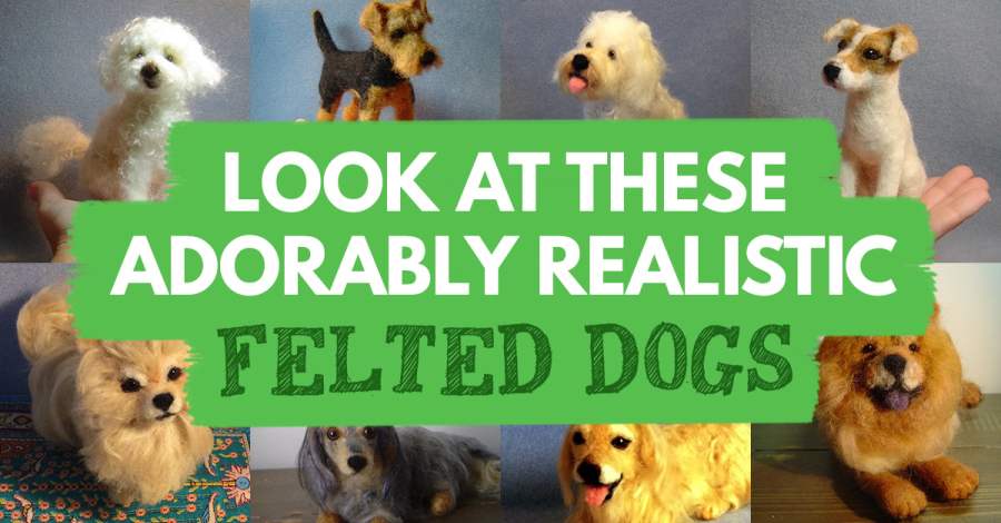 Look At These Adorably Realistic Felted Dogs