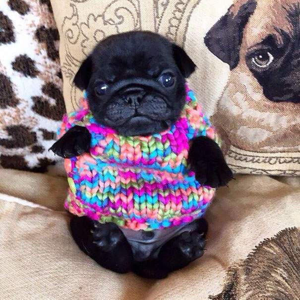 11 Cuties Who Are Rocking Their Winter Woollies