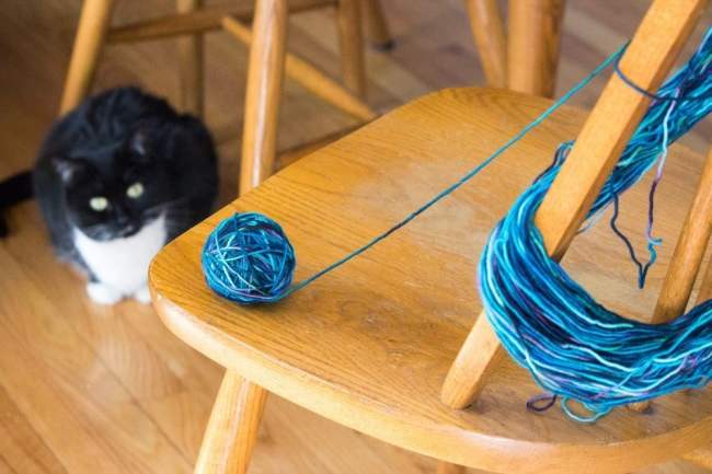 21 Cats Ambushing Your Yarn