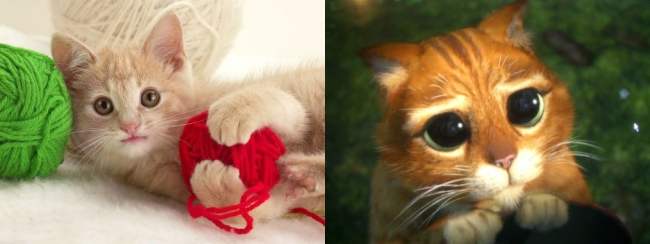 21 Cats Ambushing Your Yarn