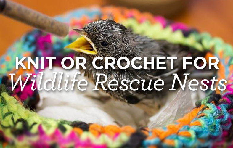 Knit or Crochet for Wildlife Rescue Nests Knit or Crochet for Wildlife Rescue Nests