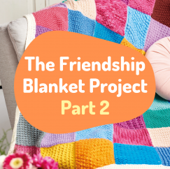 The Friendship Blanket Project: Part 2