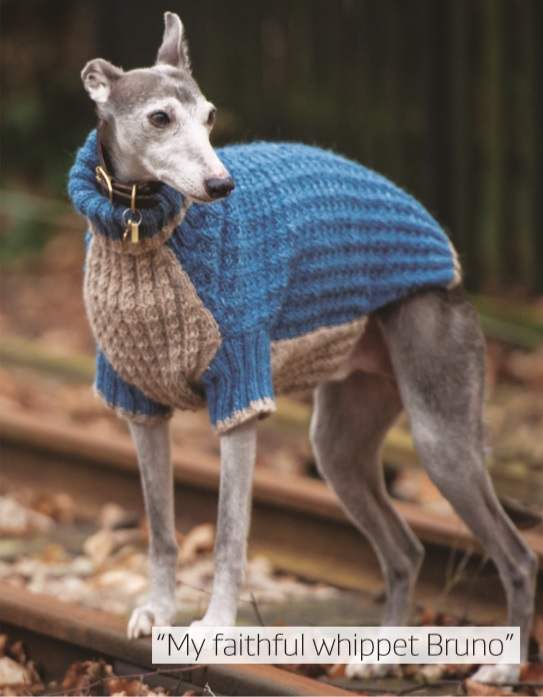 knitted greyhound coats