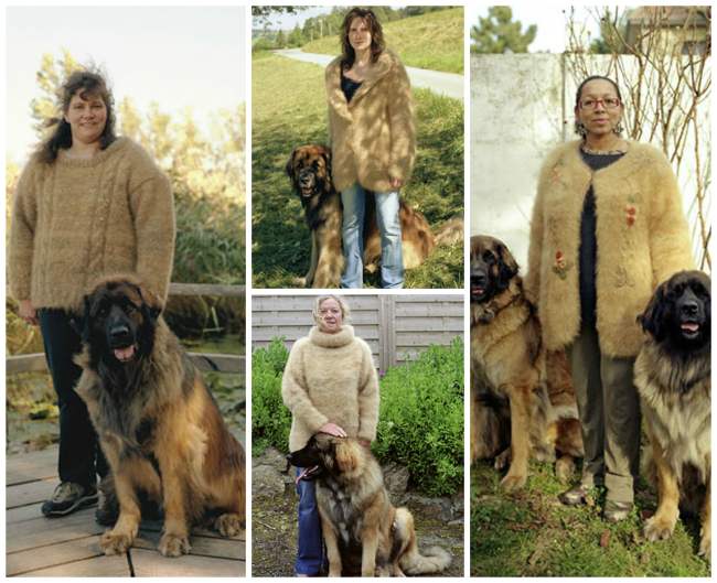 16 People Who Knitted With Pet Hair