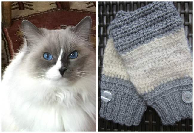 16 People Who Knitted With Pet Hair