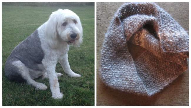 16 People Who Knitted With Pet Hair