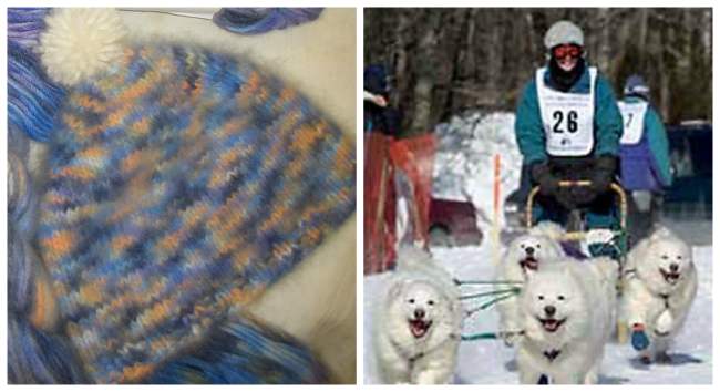 16 People Who Knitted With Pet Hair