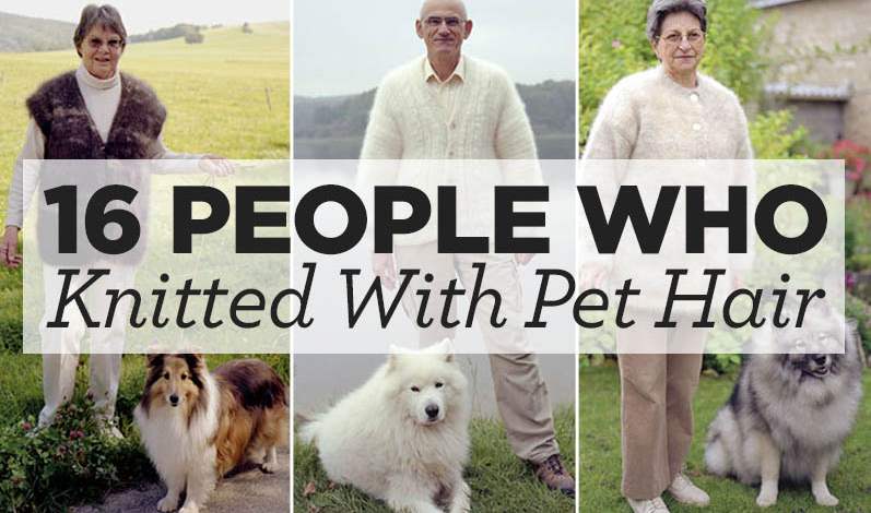 16 People Who Knitted With Pet Hair Top Crochet Patterns