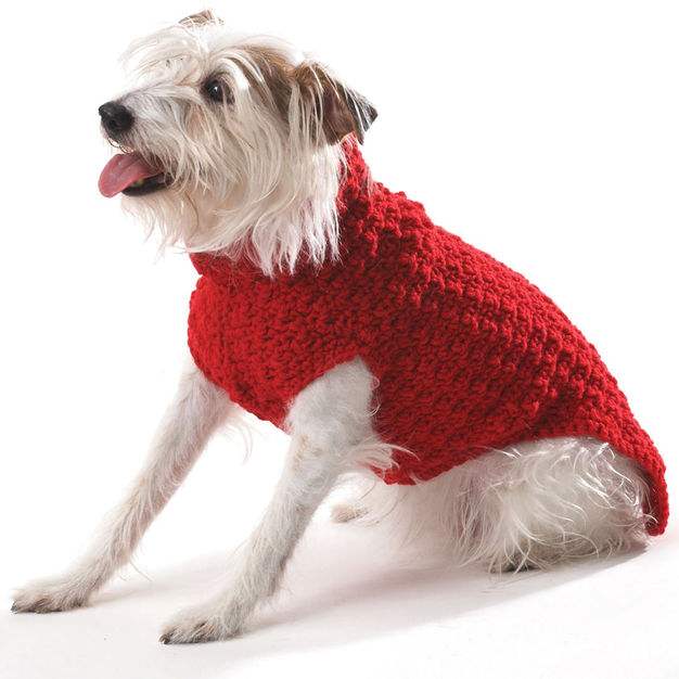 15 Crochet Makes to Celebrate National Pet Month