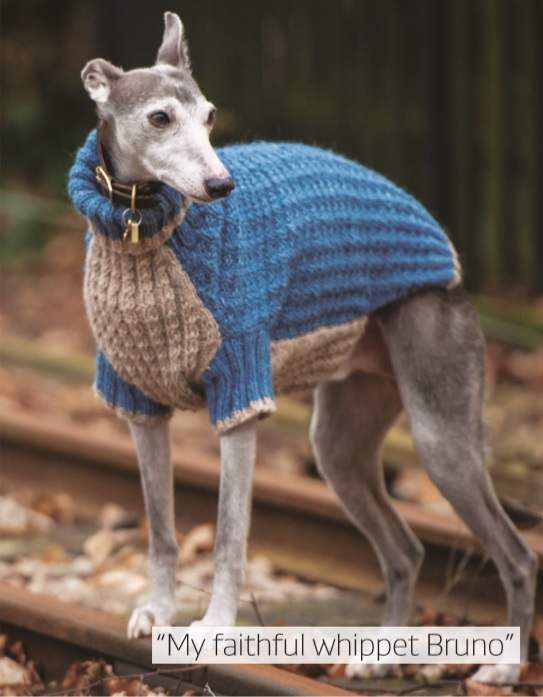 Pets Get Crafting! Knit for National Pet Day