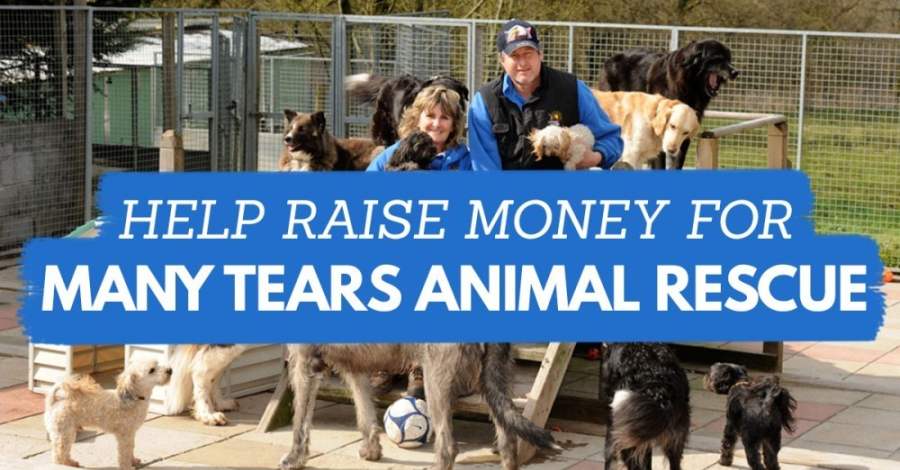 Help Raise Money For Many Tears Animal Rescue