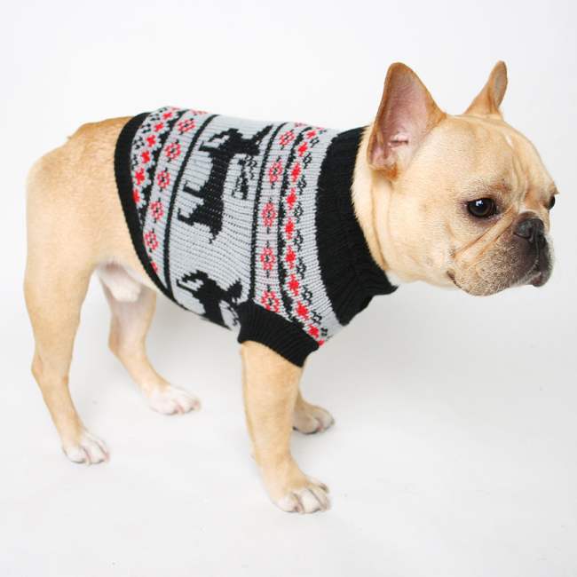 22 Adorable Dogs In Knitwear