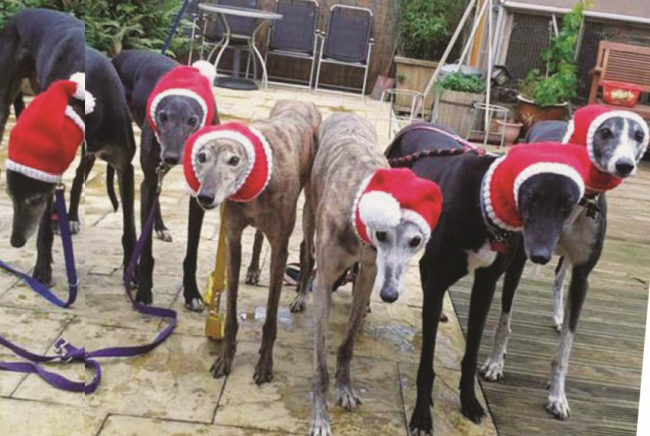 Crochet whippet coat discount pattern