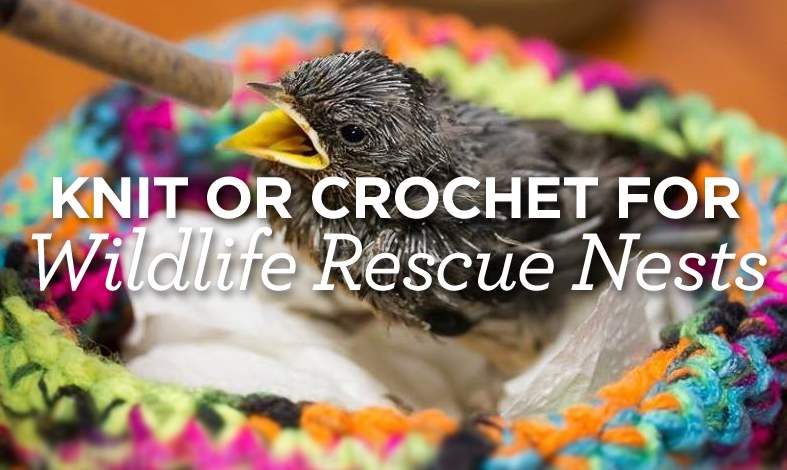 Knit or Crochet for Wildlife Rescue Nests