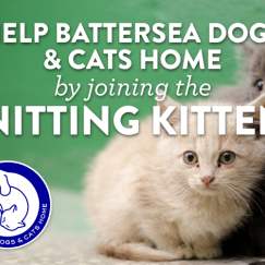 Help Battersea Dogs & Cats Home by joining the Knitting Kittens