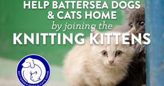 Help Battersea Dogs & Cats Home by joining the Knitting Kittens