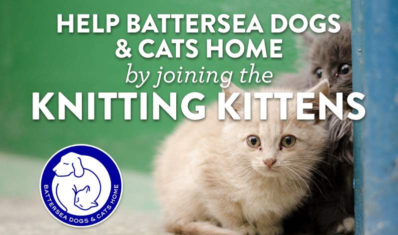 Help Battersea Dogs & Cats Home by joining the Knitting Kittens
