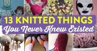 13 Knitted Things You Never Knew Existed