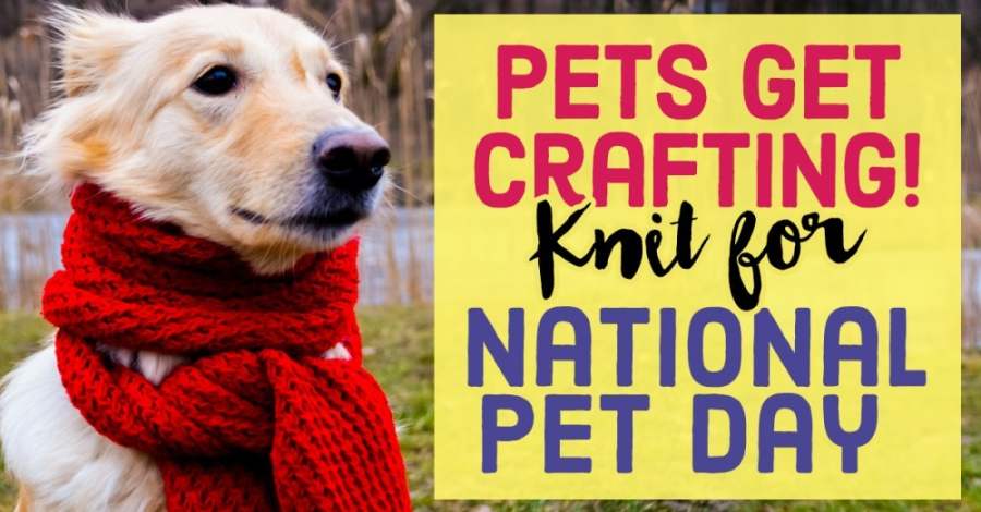 Pets Get Crafting! Knit for National Pet Day