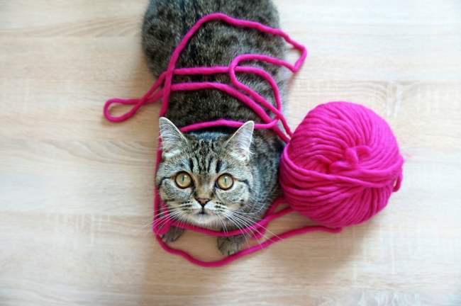 17 Things You’ll Wish You Knew When You First Started Crochet