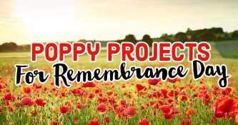 Poppy Projects For Remembrance Day