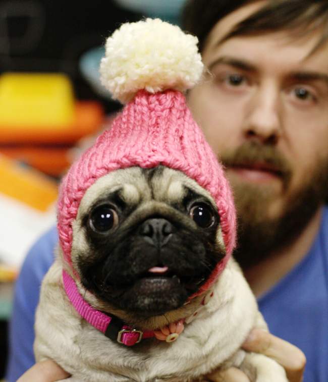 11 Patterns For People Who Love Pugs
