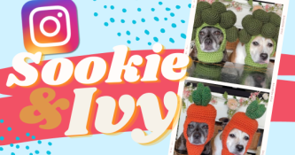 Sookie and Ivy: The TikTok Dogs Who Model Crochet Hats