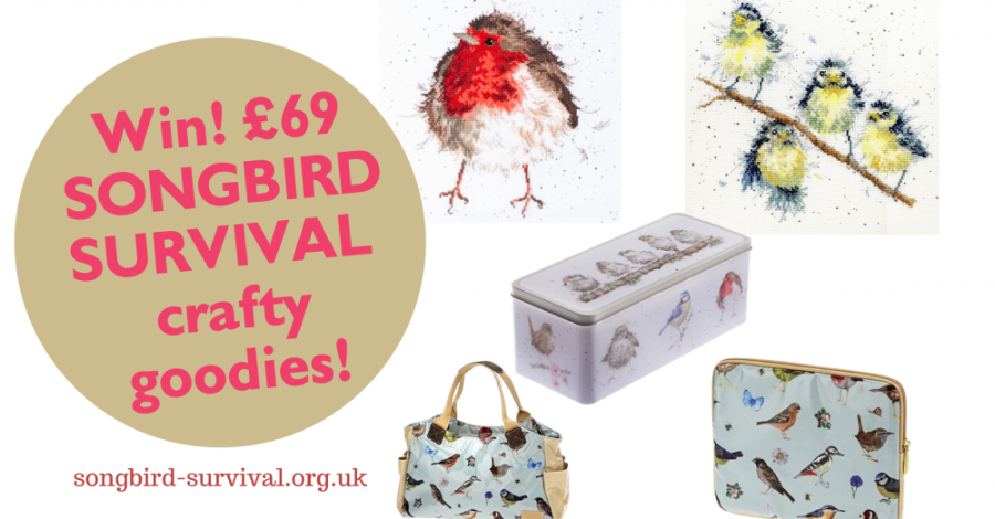 £69 Songbird Craft Bundle