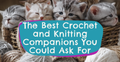 The Best Crochet and Knitting Companions You Could Ask For