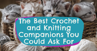 The Best Crochet and Knitting Companions You Could Ask For