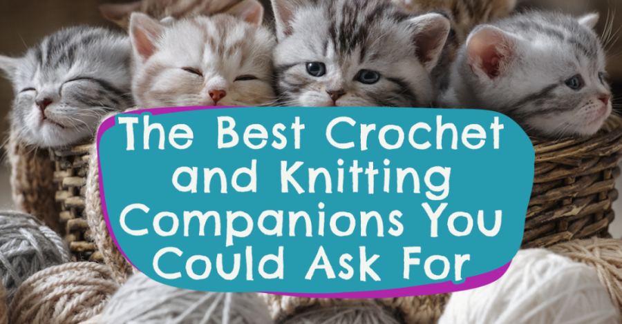 The Best Crochet and Knitting Companions You Could Ask For