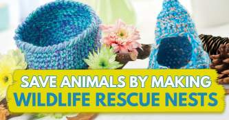 Save Animals By Making Wildlife Rescue Nests