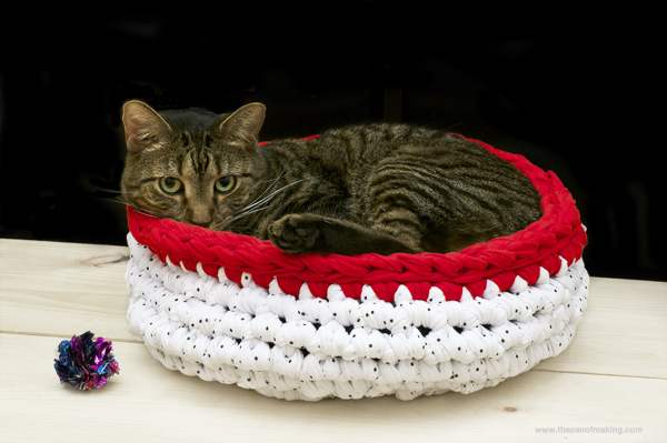 9 Dreamy Crochet Beds For Your Pet