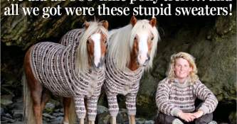 Ponies Presented with Fair Isle Jumpers