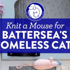 Knit a Mouse for Battersea’s Homeless Cats