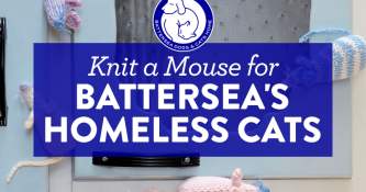 Knit a Mouse for Battersea’s Homeless Cats