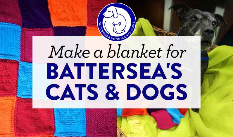 Make a blanket for Battersea’s cats and dogs