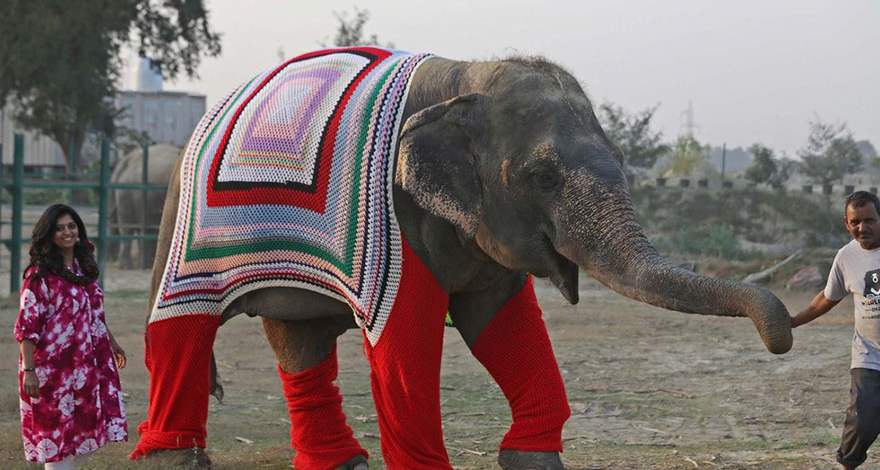 CUTE ALERT: VILLAGERS KNIT JUMPERS FOR ELEPHANTS