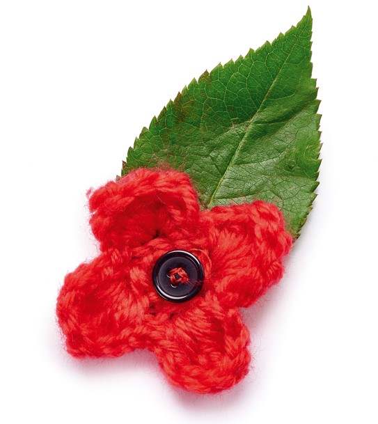 Poppy Projects For Remembrance Day