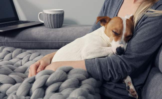 The Best Crochet and Knitting Companions You Could Ask For