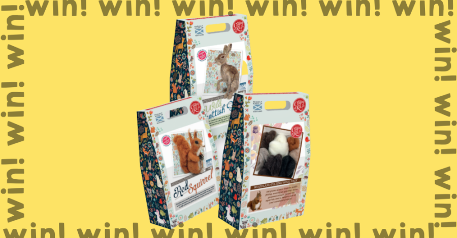 WIN woodland needle felting kits!