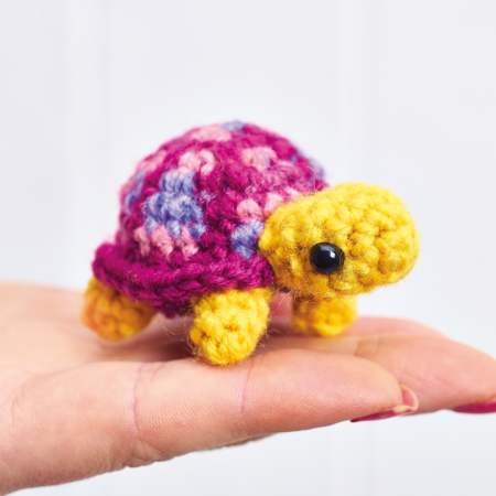 Teeny Tortoises
