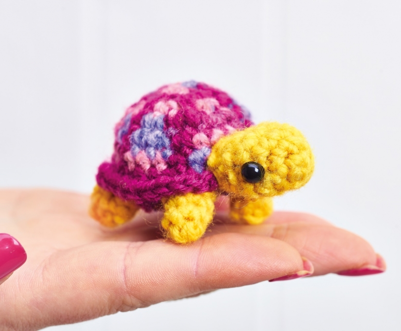 Teeny Tortoises Teeny Tortoises
