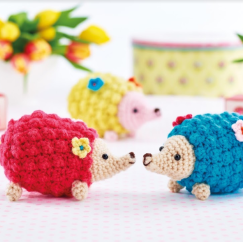 Mini Hedgehogs