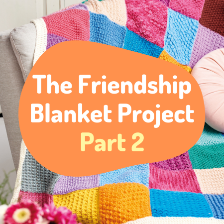 The Friendship Blanket Project: Part 2