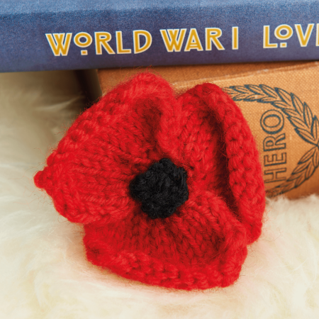 Poppy Projects For Remembrance Day