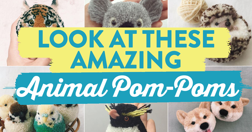 Look At These Amazing Animal Pom-Poms
